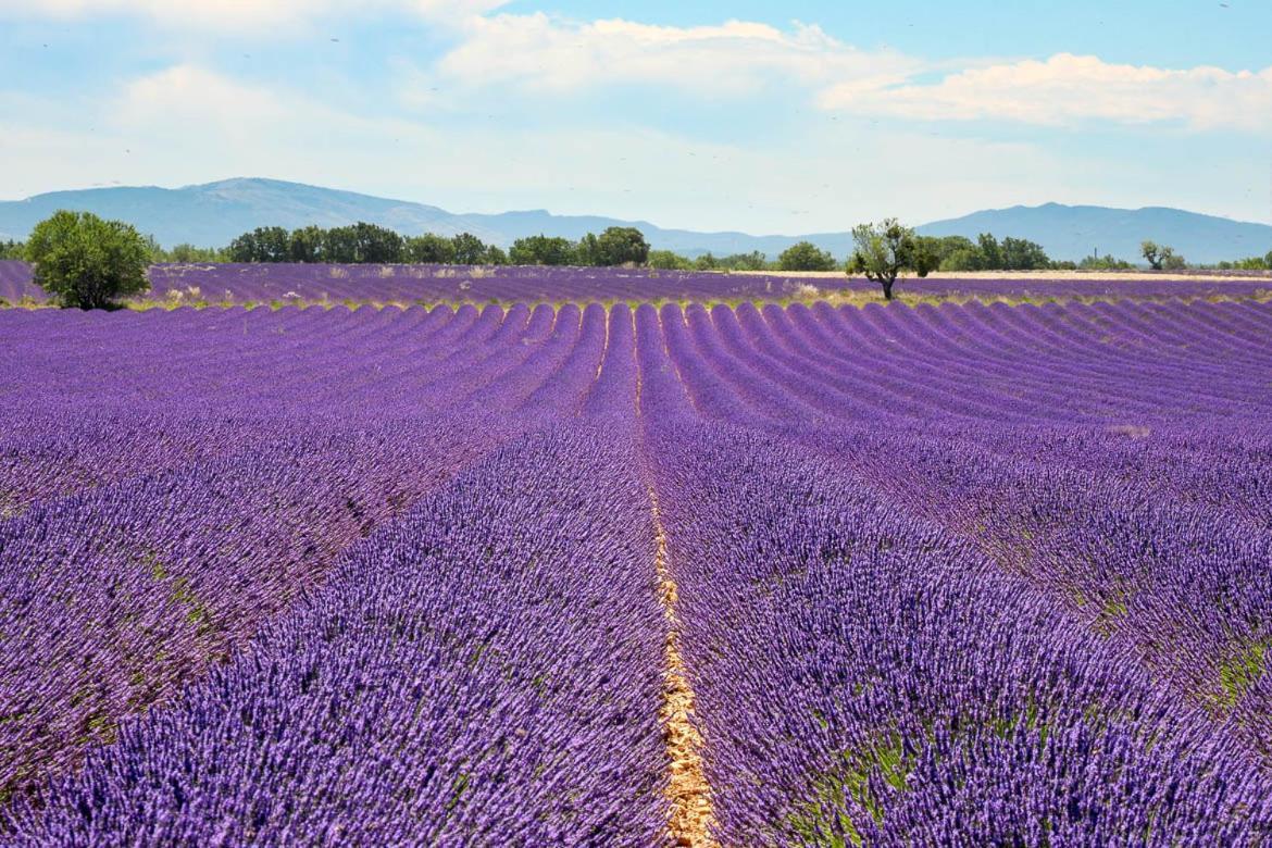 Roulotte Bohemian Lover In Provence, Valensole Exterior foto